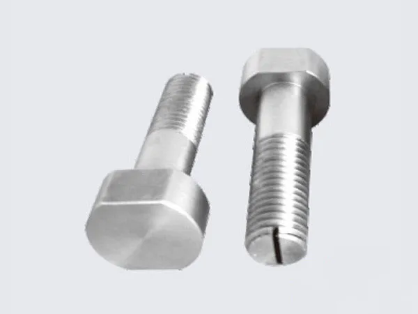 Molybdenum Screw