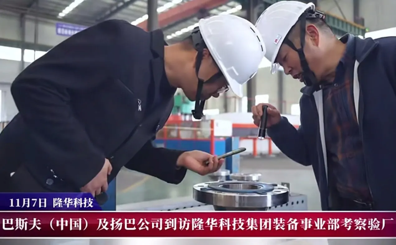 BASF (China) visited the Industrial Heat Transfer Equipment Division of Longhua Group.